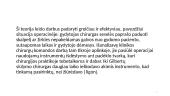 Ergonomikos samprata. Raida 19 puslapis