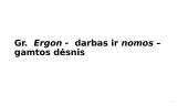 Ergonomikos samprata. Raida 3 puslapis