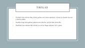 Nelietuviški užrašai artimoje erdvėje 2 puslapis