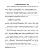 Ilgalaikio ir trumpalaikio kredito vaidmuo komercinio banko požiūriu 6 puslapis