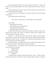 Ilgalaikio ir trumpalaikio kredito vaidmuo komercinio banko požiūriu 7 puslapis