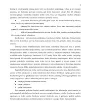 Ilgalaikio ir trumpalaikio kredito vaidmuo komercinio banko požiūriu 8 puslapis
