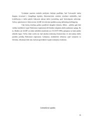 Ilgalaikis jaunimo nedarbas Italijoje 14 puslapis