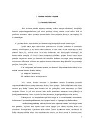 Ilgalaikis jaunimo nedarbas Italijoje 5 puslapis