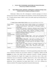 SPA viešbučio ,,Ignaliana SPA hotel“ steigimo ir veiklos organizavimo planas 14 puslapis