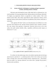 SPA viešbučio ,,Ignaliana SPA hotel“ steigimo ir veiklos organizavimo planas 19 puslapis