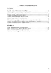 SPA viešbučio ,,Ignaliana SPA hotel“ steigimo ir veiklos organizavimo planas 6 puslapis