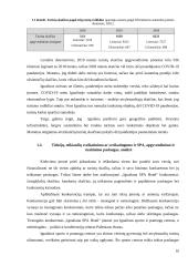 SPA viešbučio ,,Ignaliana SPA hotel“ steigimo ir veiklos organizavimo planas 9 puslapis