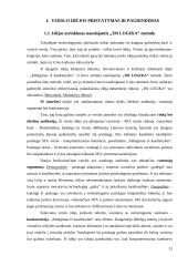 Pokyčių valdymo ir naujos verslo formos pasirinkimas 11 puslapis