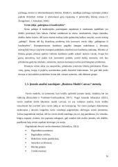 Pokyčių valdymo ir naujos verslo formos pasirinkimas 15 puslapis