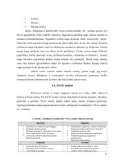 Pokyčių valdymo ir naujos verslo formos pasirinkimas 16 puslapis