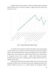 Pokyčių valdymo ir naujos verslo formos pasirinkimas 19 puslapis
