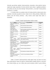 Pokyčių valdymo ir naujos verslo formos pasirinkimas 20 puslapis