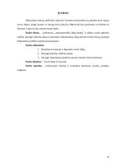 Pokyčių valdymo ir naujos verslo formos pasirinkimas 9 puslapis