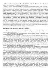 Salomėja Nėris. Kūrybos analizė 2 puslapis