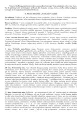 Salomėja Nėris. Kūrybos analizė 3 puslapis