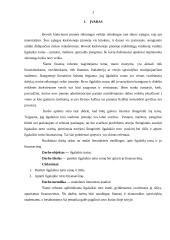 Ilgalaikio turto esmė bei jo finansavimas 2 puslapis