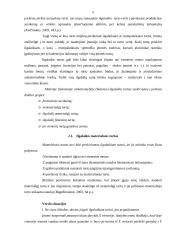 Ilgalaikio turto esmė bei jo finansavimas 4 puslapis