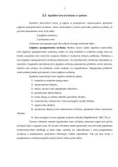 Ilgalaikio turto esmė bei jo finansavimas 6 puslapis