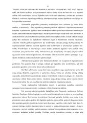 Ilgalaikio turto esmė bei jo finansavimas 10 puslapis