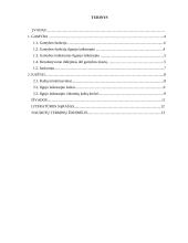 Ilgojo laikotarpio gamyba