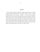 Ilgojo laikotarpio gamyba 11 puslapis