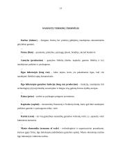 Ilgojo laikotarpio gamyba 13 puslapis