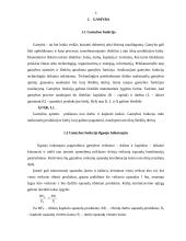 Ilgojo laikotarpio gamyba 3 puslapis