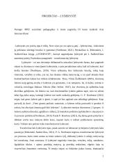 Lyderystės refleksija