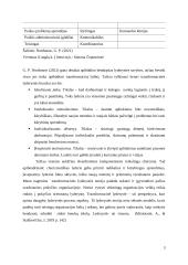 Lyderystės refleksija 3 puslapis