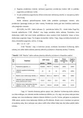 Įmonėje turtas — darbuotojai: langų, durų ir fasado elementų gamyba UAB "Baulita" 12 puslapis