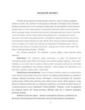 AB „Gubernija“ eksportas į Airiją 2 puslapis