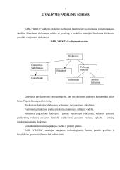 Įmonės analizė:  prekyba technika UAB "Vilkta" 5 puslapis