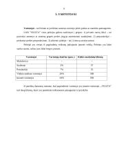 Įmonės analizė:  prekyba technika UAB "Vilkta" 6 puslapis