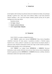 Įmonės analizė:  prekyba technika UAB "Vilkta" 7 puslapis
