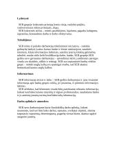 Įmonės analizė: bankininkystė, investicijų valdymas SEB Vilniaus bankas 10 puslapis