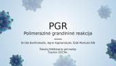 PGR (polimerazės grandininė reakcija)