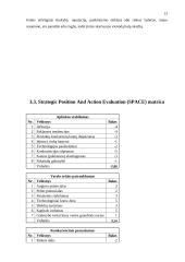 AB "Hansabankas" finansinių paslaugų analizė 13 puslapis