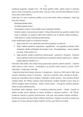 Įmonės analizė: medienos apdorojimas ir gaminiai  AB "Minija" 13 puslapis