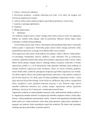 Įmonės analizė: medienos apdorojimas ir gaminiai  AB "Minija" 3 puslapis
