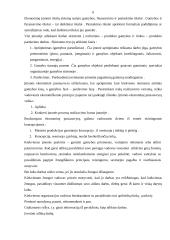 Įmonės analizė: medienos apdorojimas ir gaminiai  AB "Minija" 5 puslapis