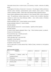 Įmonės analizė: medienos apdorojimas ir gaminiai  AB "Minija" 9 puslapis