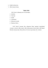 Įmonės analizė: nekilnojamojo turto paslaugos UAB "Novita" 13 puslapis
