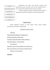 Įmonės analizė: nekilnojamojo turto paslaugos UAB "Novita" 6 puslapis