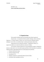 Įmonės analizė: UAB "Maxima LT" 17 puslapis