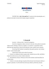 Įmonės analizė: UAB "Maxima LT" 19 puslapis