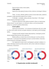 Įmonės analizė: UAB "Maxima LT" 9 puslapis