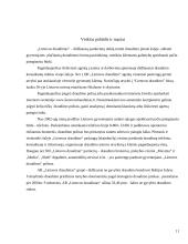 Įmonės aprašymas: AB "Lietuvos draudimas" 11 puslapis