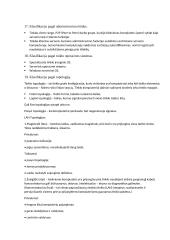 Operacinė sistemos sąvoka, jos vieta hierarchinėje kompiuterio struktūroje 7 puslapis