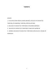 Įmonės darbuotojų saugos ir sveikatos tarnybos specialisto veikla įmonėje 2 puslapis